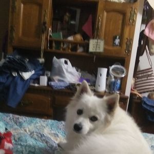 Meet your Posher, Sue